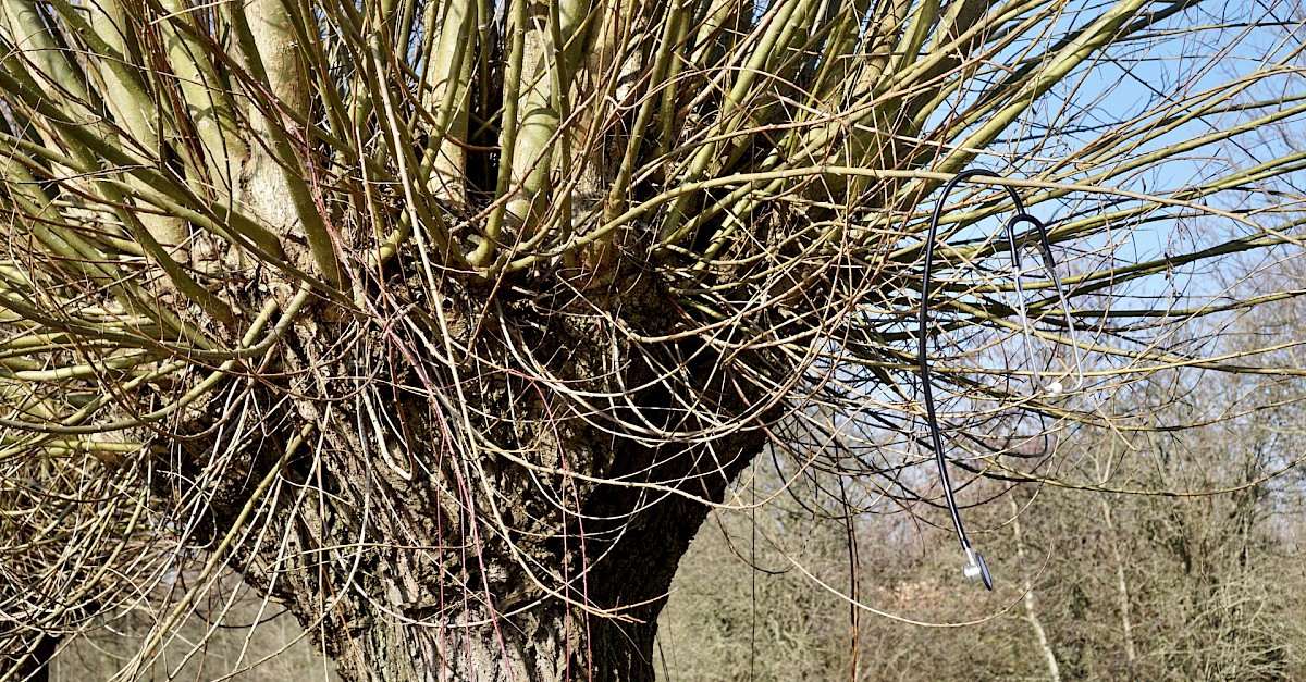 Mijn stethoscoop aan de wilgen | hartlanders.nl